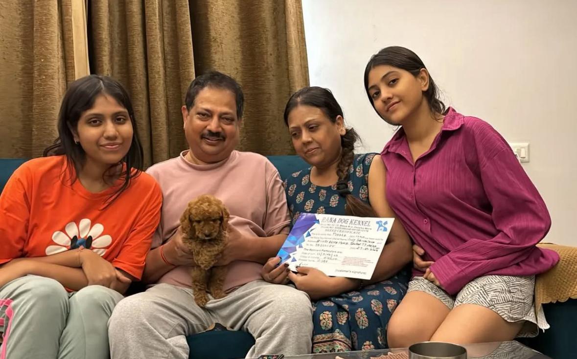 Sunita Poodle Chennai